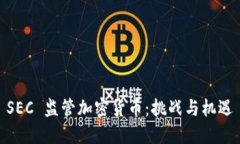SEC 监管加密货币:挑战与机遇