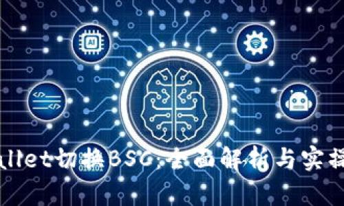 tpWallet切换BSC:全面解析与实操指南