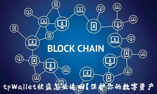 tpWallet被盗怎么追回?保护你的数字资产
