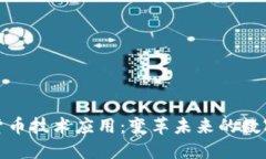 加密货币技术应用:变革未来的数字经济