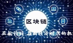 加密货币亚航计划:在新经济时代的机遇与挑战
