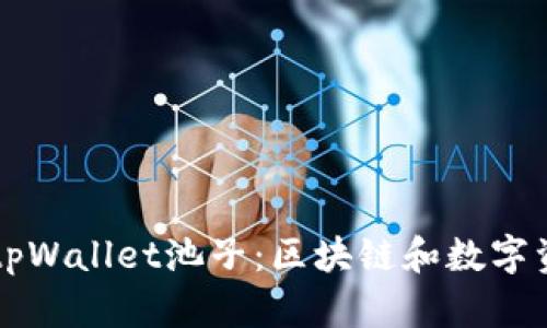 深入了解tpWallet池子:区块链和数字资产的未来