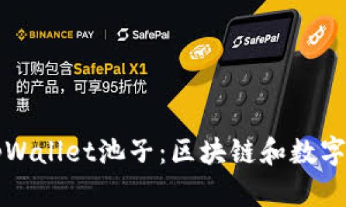 深入了解tpWallet池子:区块链和数字资产的未来