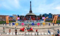加密货币PMT:新兴数字经济的先锋