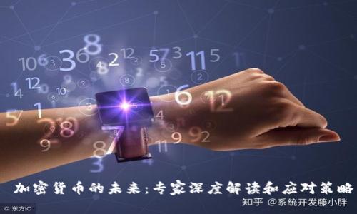 加密货币的未来:专家深度解读和应对策略