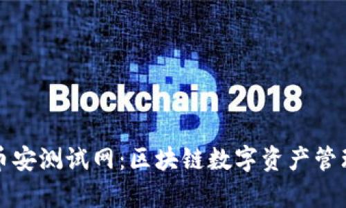 tpWallet币安测试网:区块链数字资产管理的新世纪