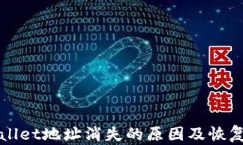 tpWallet地址消失的原因及恢复方法