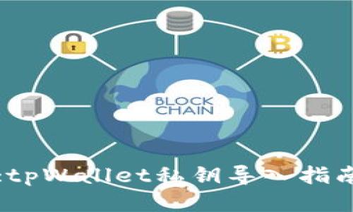 :tpWallet私钥导入指南
