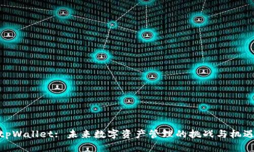 tpWallet: 未来数字资产管理的挑战与机遇