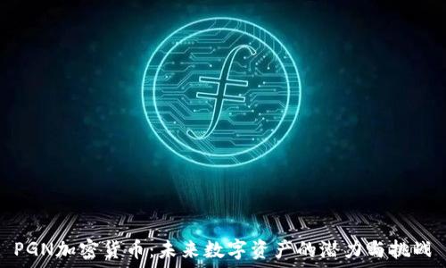  
PGN加密货币：未来数字资产的潜力与挑战