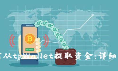 如何从tpWallet提取资金:详细指南