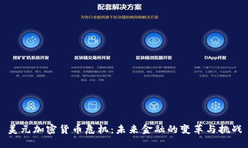 美元加密货币危机:未来金融的变革与挑战