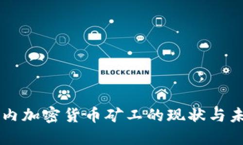 国内加密货币矿工的现状与未来