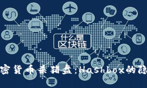 揭秘加密货币杀猪盘:Hashbox的隐秘运作