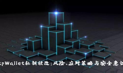 tpWallet私钥被改:风险、应对策略与安全意识
