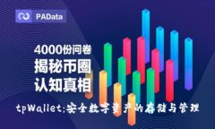 tpWallet:安全数字资产的存储与管理