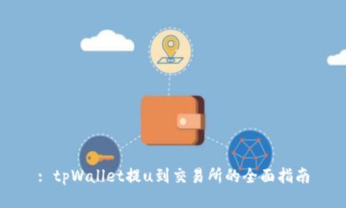 : tpWallet提u到交易所的全面指南