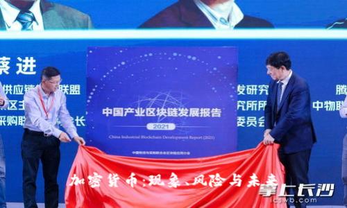 加密货币:现象、风险与未来