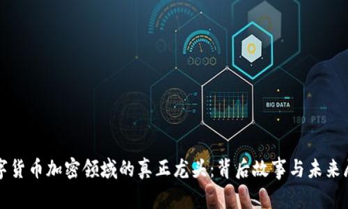 数字货币加密领域的真正龙头:背后故事与未来展望