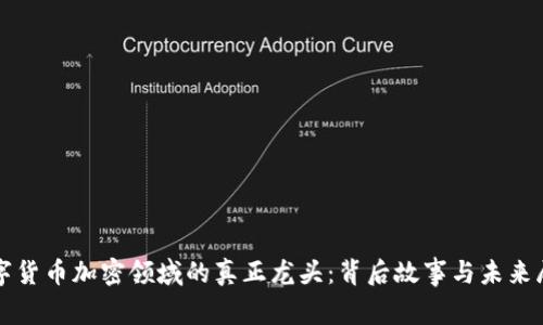 数字货币加密领域的真正龙头:背后故事与未来展望
