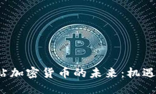 探索P站加密货币的未来：机遇与挑战