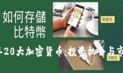 2023年20大加密货币：投资机会与市场分析