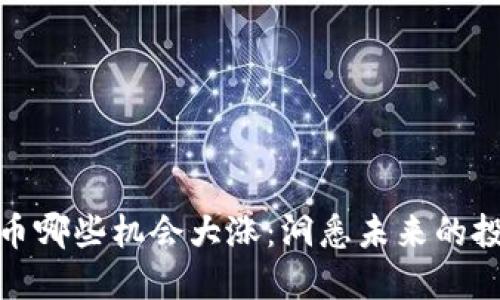 加密货币哪些机会大涨：洞悉未来的投资趋势