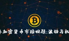 2021年加密货币市场回顾：波动与机遇并存