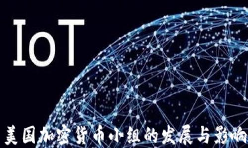 
美国加密货币小组的发展与影响