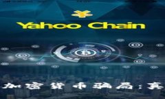 科技公司加密货币骗局：真相与揭秘