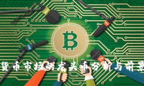 加密货币市场的龙头币分析与前景展望