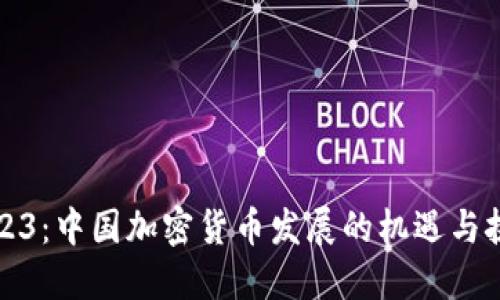 2023：中国加密货币发展的机遇与挑战