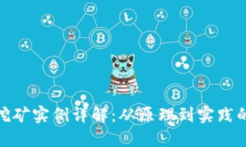 加密货币挖矿实例详解：从原理到实践的全面探讨