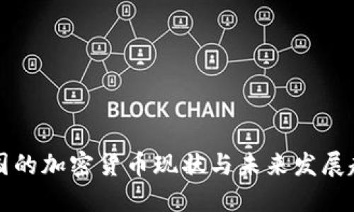 美国的加密货币现状与未来发展趋势