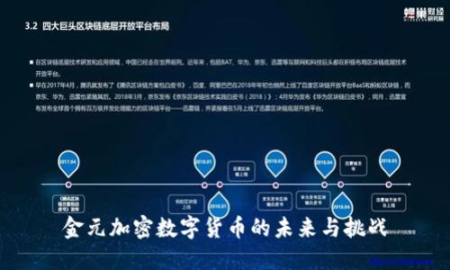 金元加密数字货币的未来与挑战
