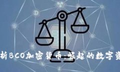 深入解析BCO加密货币：崛起的数字资产新星