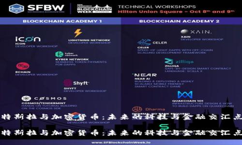 特斯拉与加密货币：未来的科技与金融交汇点

特斯拉与加密货币：未来的科技与金融交汇点