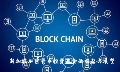  新加坡加密货币投资基金的崛起与展望