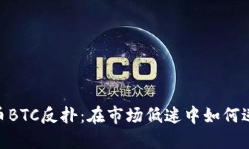 加密货币BTC反扑：在市场低迷中如何逆势而起