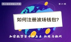 加密数字货币的未来：机遇与挑战