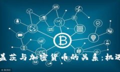 比尔·盖茨与加密货币的关系：机遇与挑战