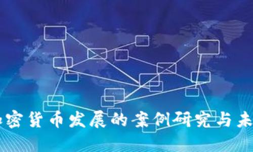 印度加密货币发展的案例研究与未来展望