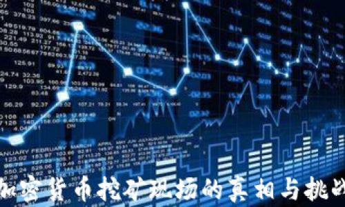 
加密货币挖矿现场的真相与挑战