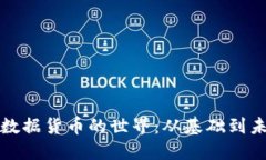 深入探讨加密数据货币的世界：从基础到未来的
