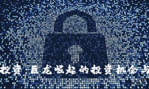 加密货币投资：巨龙崛起的投资机会与风险分析