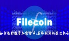 如何选择投资加密货币：获取利润的最佳机会