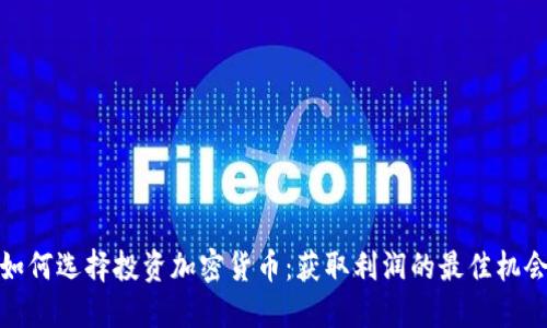 如何选择投资加密货币：获取利润的最佳机会