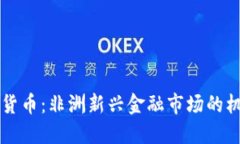 乍得加密货币：非洲新兴金融市场的机会与挑战