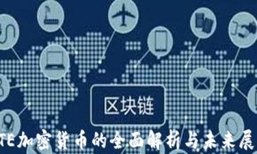 
STE加密货币的全面解析与未来展望