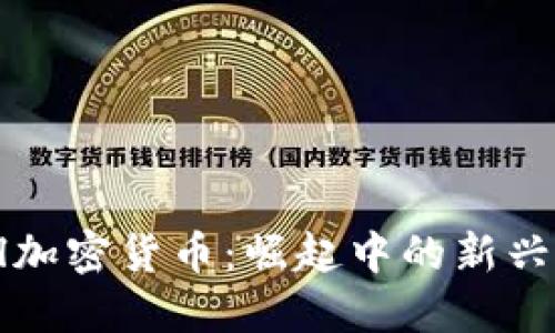 了解Bull加密货币：崛起中的新兴数字资产